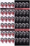 Cover image for Genetic studies in Joyce