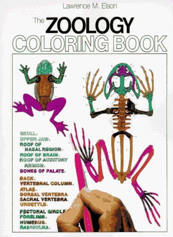 Cover image for Zoology Coloring Book