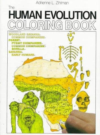 Cover image for The Human Evolution Coloring Book