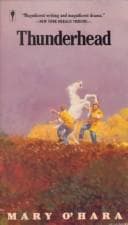 Cover image for Thunderhead.