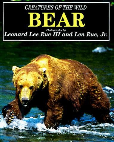 Cover image for Bear (Creatures of the Wild)