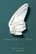 Cover image for Dinosaurs on the roof