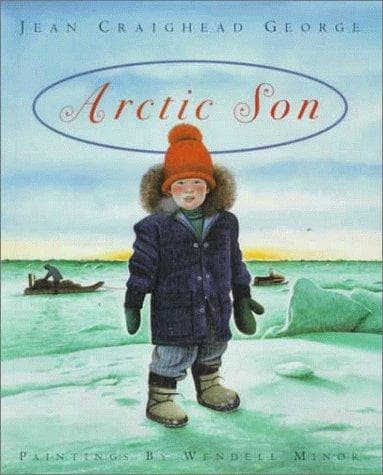 Cover image for Arctic son