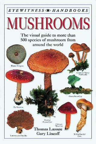Cover image for Mushrooms