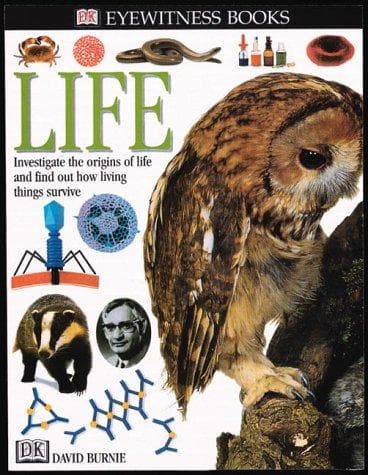 Cover image for Eyewitness