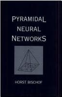 Cover image for Pyramidal neural networks