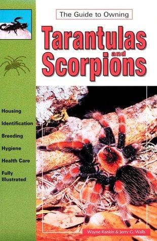 Cover image for Tarantulas and Scorpions