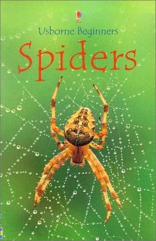 Cover image for Spiders (Beginners)