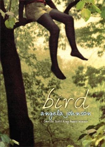 Cover image for Bird