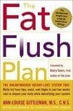 Cover image for The Fat Flush Plan