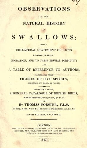Observations of the naturalhistory of the swallowtribe