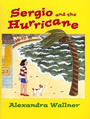 Cover image for Sergio and the hurricane