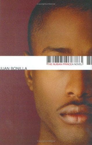 Cover image for The nubian prince