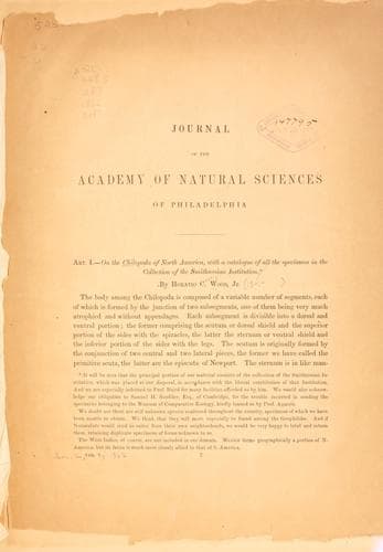 On the Chilopoda of North America, with a catalogue of all the specimens in the collection of the Smithsonian Institution