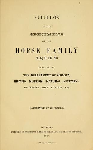 Guide to the specimens of the horse family (Equidæ) exhibited in the Department of Zoology, British Museum (Natural History)