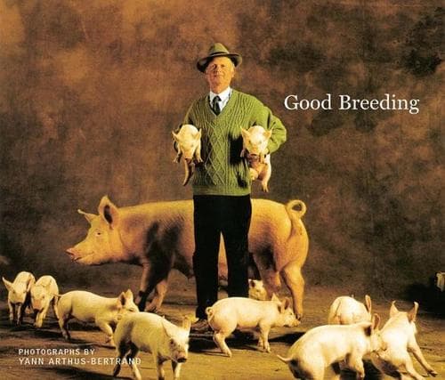Cover image for Good Breeding