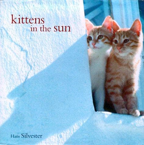 Cover image for Kittens in the Sun