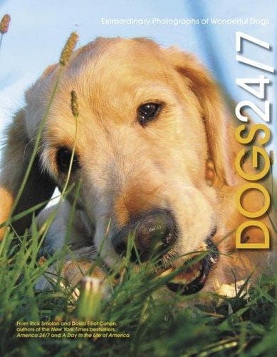 Cover image for Dogs 24/7