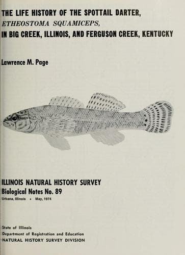 The life history of the spottail darter, Etheostoma squamiceps, in Big Creek, Illinois, and Ferguson Creek, Kentucky