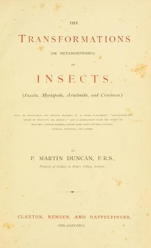 The transformations (or metamorphoses) of insects (Insecta, Myriapoda, Arachnida, and Crustacea)