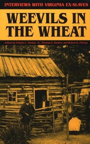 Cover image for Weevils in the wheat