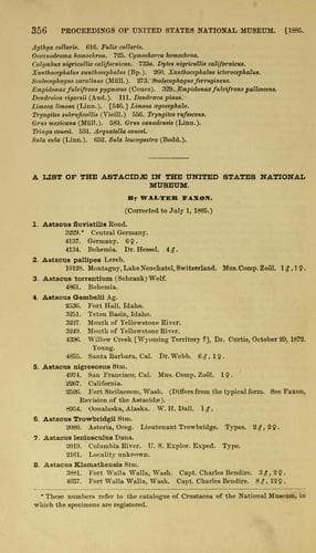 List of the Astacidae in the United States National Museum