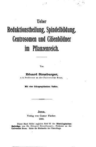 Ueber Reduktionstheilung, Spindelbildung, Centrosomen und Cilienbildner im ..