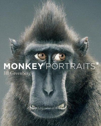 Cover image for Monkey portraits