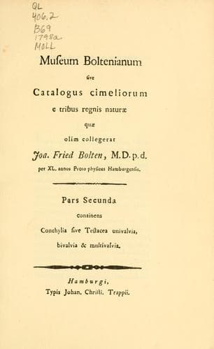 Museum Boltenianum, sive, Catalogus cimeliorum e tribus regnis naturae quae olim collegerat Joa. Fried. Bolten