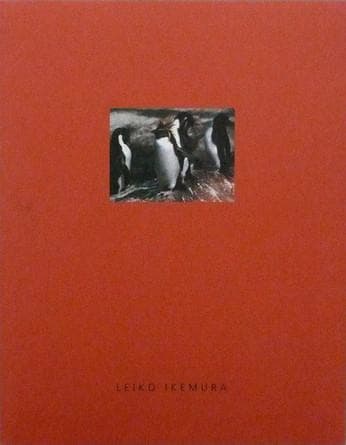 Cover image for Leiko Ikemura