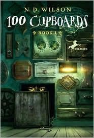 Cover image for 100 Cupboards