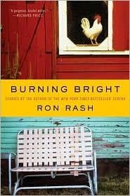 Cover image for Burning Bright