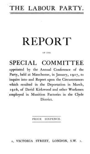 Report of the special committee appointed by the annual conference of the party