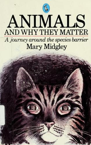 Cover image for Animals and why they matter
