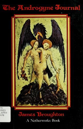 Cover image for The androgyne journal