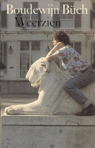 Cover image for Weerzien