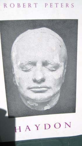 Cover image for Haydon