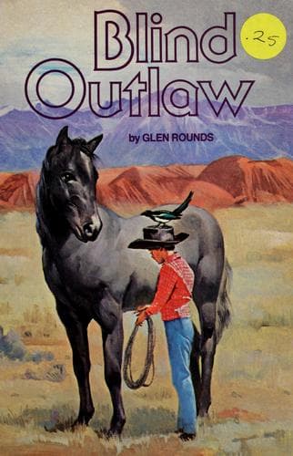 Cover image for Blind outlaw