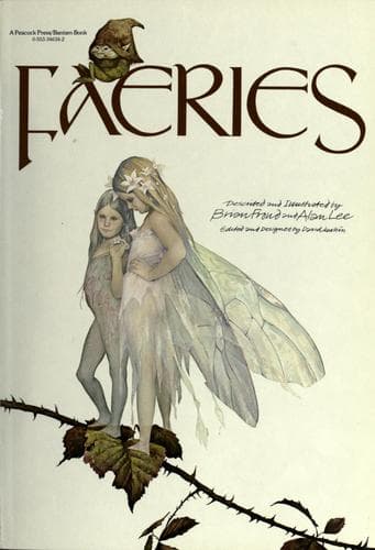 Cover image for Faeries