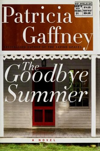 Cover image for The goodbye summer