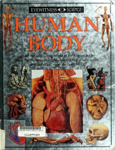 Cover image for Human body