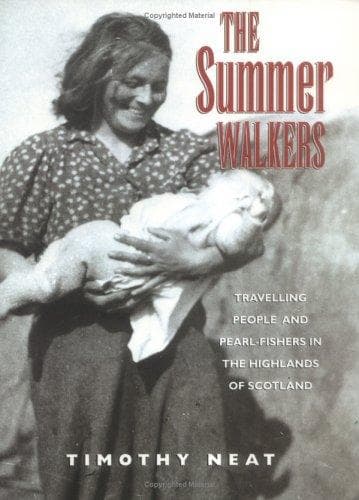 Cover image for The summer walkers
