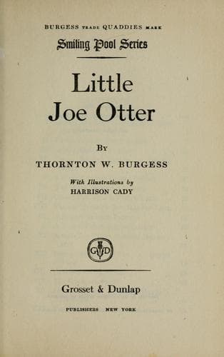 Cover image for Little Joe Otter
