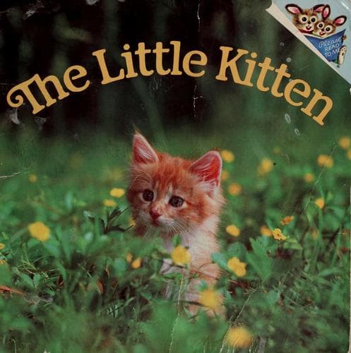 Cover image for The little kitten