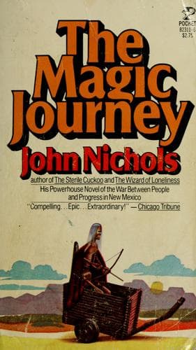 Cover image for The magic journey