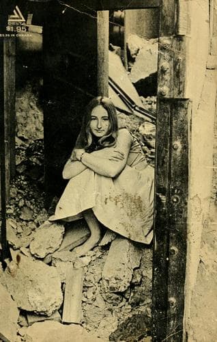 Cover image for The Pill Versus the Springhill Mine Disaster