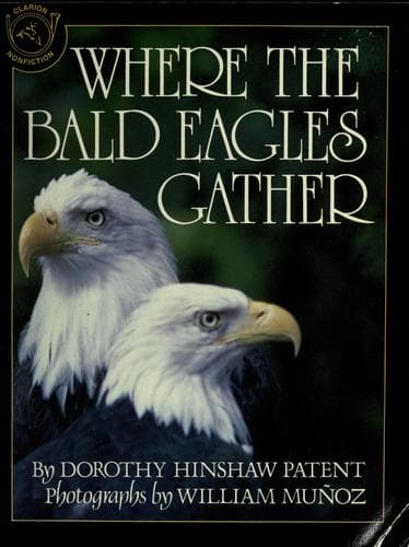 Cover image for Where the bald eagles gather