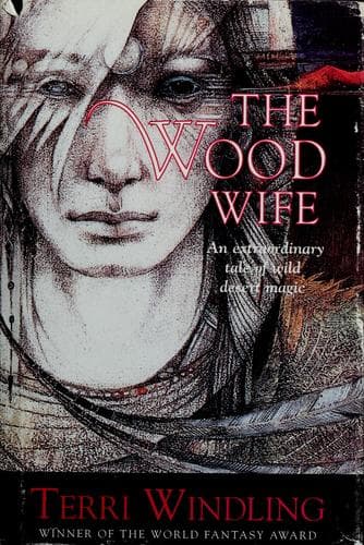 Cover image for The wood wife