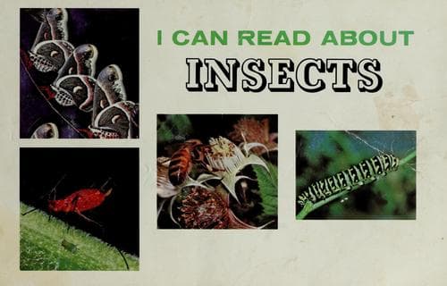 Cover image for I Can Read About Insects