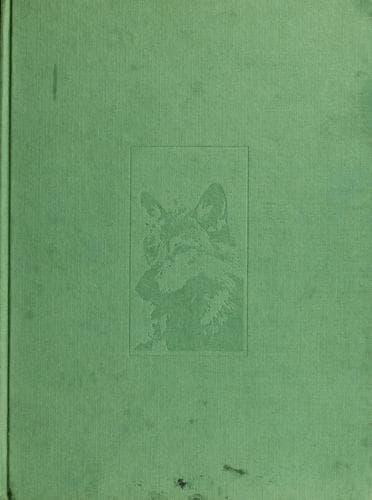 Cover image for The soul of the wolf